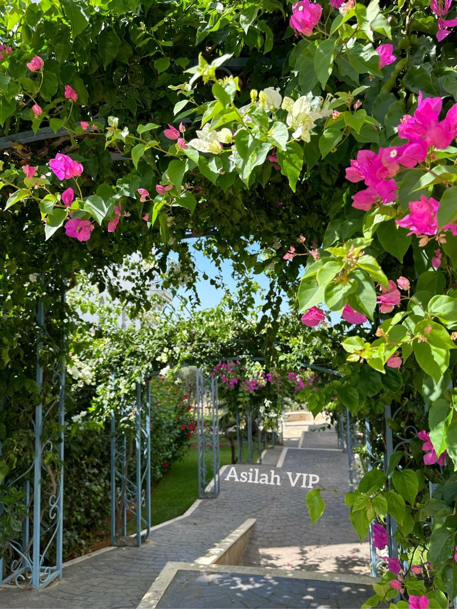 Asilah Vip - Haut Standing - Vue Mer - Piscines - Plage A 5 Minute - Garage Privee - Acces Pmr エクステリア 写真